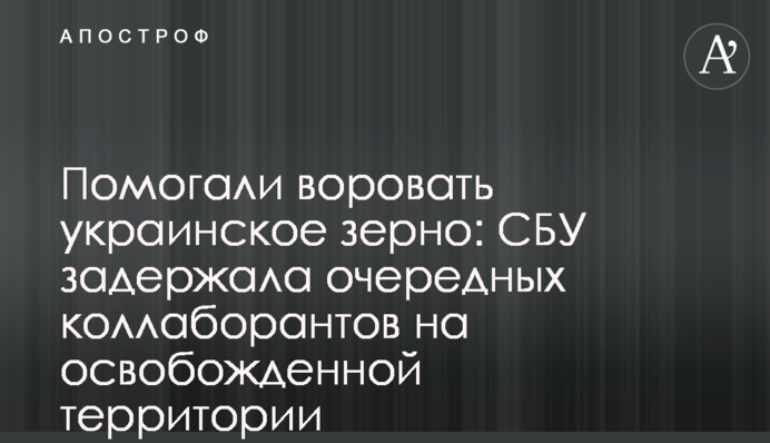 Помогали воровать украинское зерно: СБУ задержала очередных коллаборантов на освобожденной территории