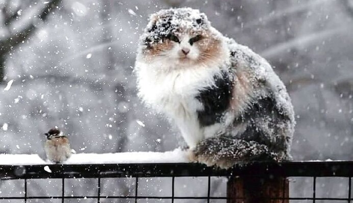 Погода будет мерзкой: новый прогноз синоптика по Украине