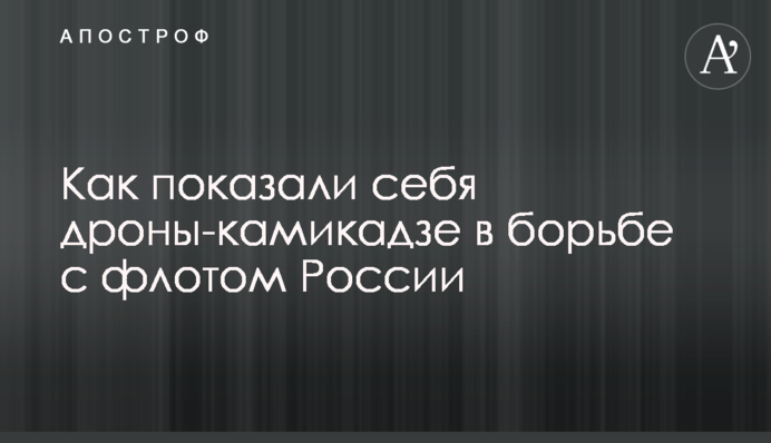 Как показали себя дроны-камикадзе в борьбе с флотом России