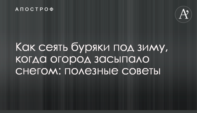 Как сеять буряки под зиму, когда огород засыпало снегом: полезные советы