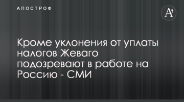 Кроме уклонения от уплаты налогов Жеваго подозревают в работе на Россию - СМИ