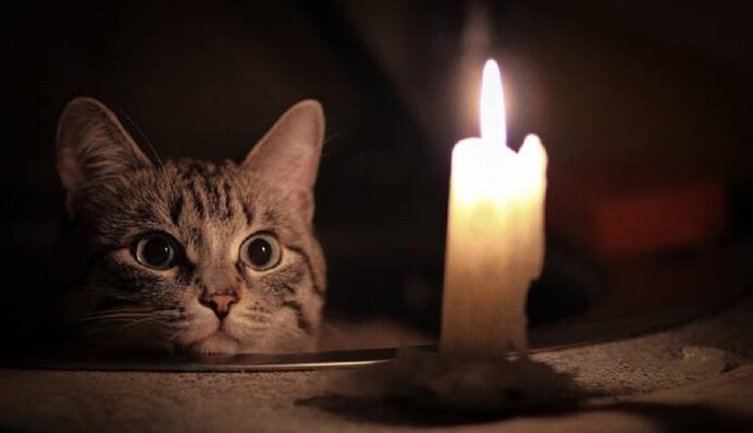 Чому деяким відключають світло на пів дня, а деяким на кілька годин: українцям дали відповідь