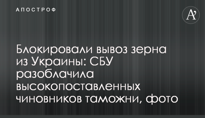 Блокували вивіз зерна з України: СБУ викрила високопосадовців митниці, фото