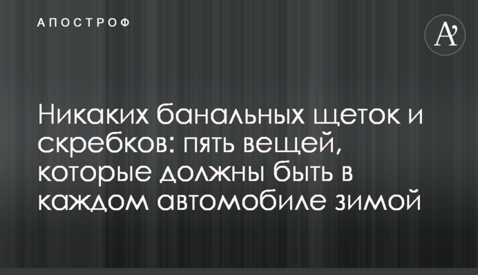 Жодних банальних щіток і скребків: п'ять речей, які мають бути в кожному автомобілі взимку