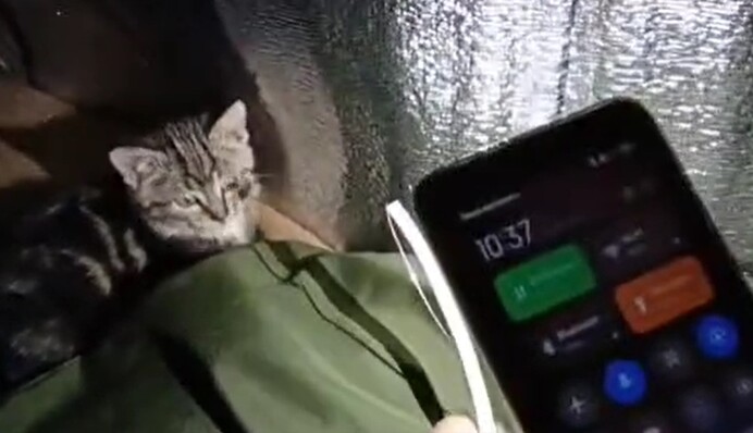 Як зробити мобільний інтернет у бліндажі: українські бійці показали лайфхак