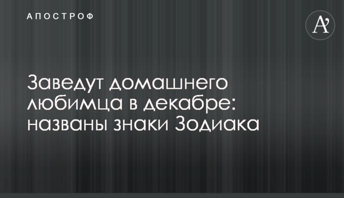 Заведут домашнего любимца в декабре: названы знаки Зодиака