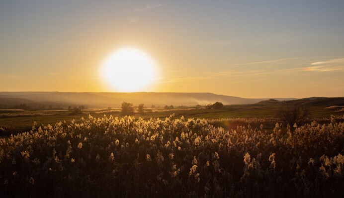 Україну у грудні накриє хвиля потепління: карта