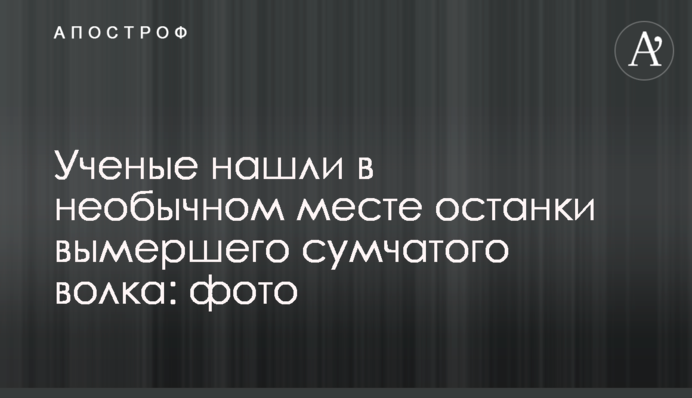 Вчені знайшли в незвичайному місці рештки вимерлого сумчастого вовка: фото