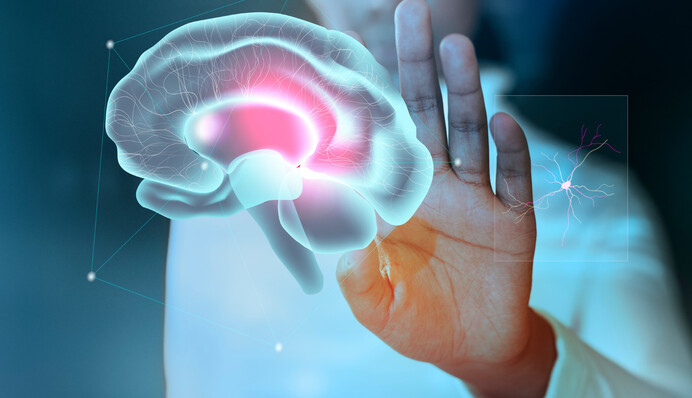 Какую температуру имеет мозг человека: ученые раскрыли тайну