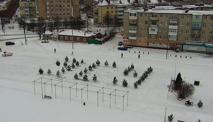 В Шостке нашли оригинальную замену новогодней елке: фото