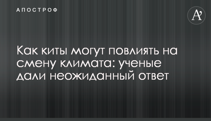 Как киты могут повлиять на смену климата: ученые дали неожиданный ответ