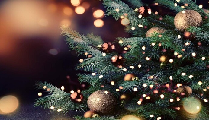 Ставить новогоднюю елку нужно в определенные дни, чтобы было благополучие – основные советы