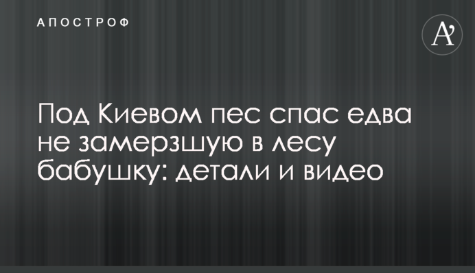 Під Києвом пес врятував бабусю, котра ледь не замерзла в лісі: деталі та відео