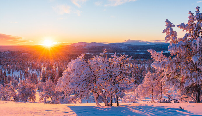 В Україну на Різдво прийдуть 