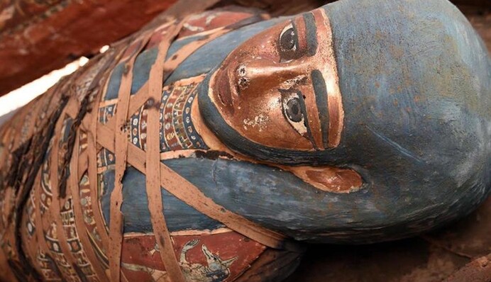 У Єгипті археологів вразили голови хижаків у гробницях: фото