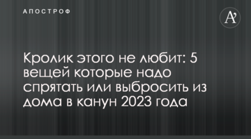 Кролик цього не любить: 5 речей, які треба сховати або викинути з дому напередодні 2023 року