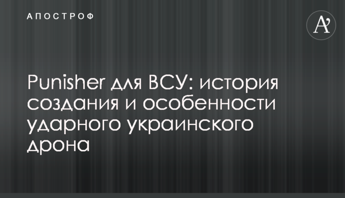 Punisher для ВСУ: история создания и особенности ударного украинского дрона