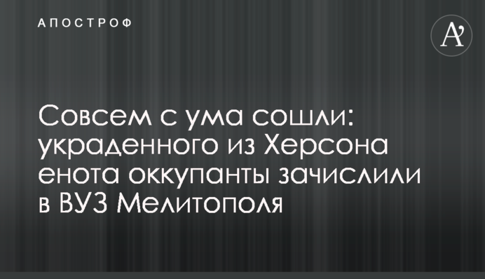 Совсем с ума сошли: украденного из Херсона енота оккупанты зачислили в ВУЗ Мелитополя