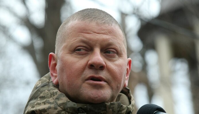 У боротьбі народжується нація: Залужний записав потужне привітання з Новим роком, відео