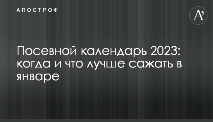 Посівний календар 2023: коли і що краще садити в січні