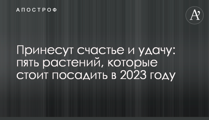 Принесуть щастя та удачу: п'ять рослин, які варто посадити у 2023 році