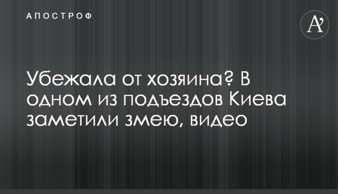 Убежала от хозяина? В одном из подъездов Киева заметили змею, видео