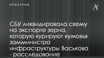 СБУ ліквідувала схему на експорті зерна, яку курують куми заступника міністра інфраструктури Васькова - розслідування