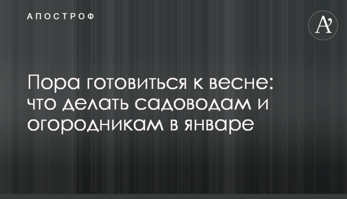 Пора готовиться к весне: что делать садоводам и огородникам в январе