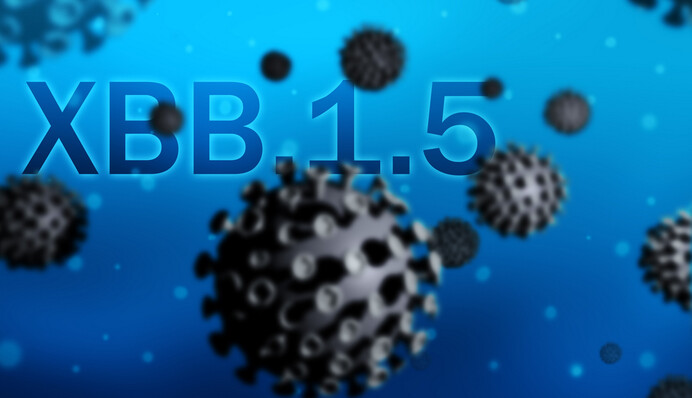 Чи є в Україні новий штам коронавірусу XBB.1.5, який називають 