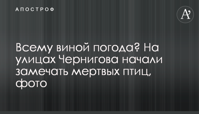 Всему виной погода? На улицах Чернигова начали замечать мертвых птиц, фото