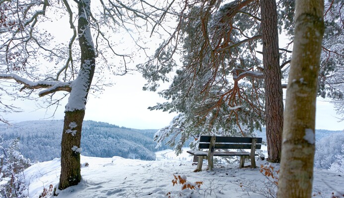 В Украине потеплеет до +8 градусов: карта погоды на 16 января