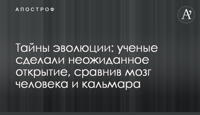 Тайны эволюции: ученые сделали неожиданное открытие, сравнив мозг человека и кальмара