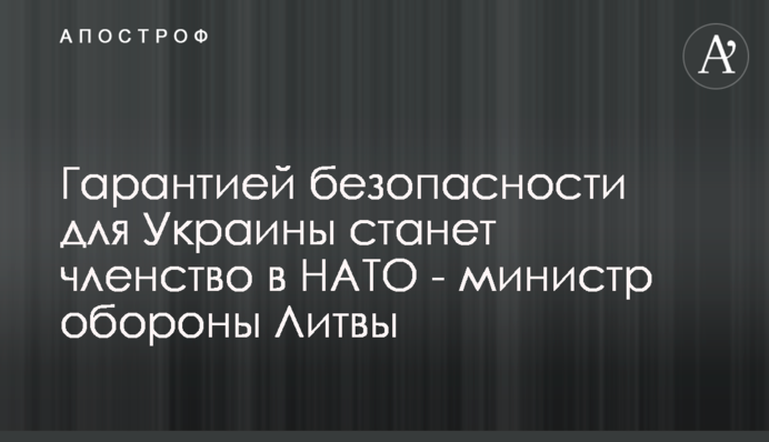 Гарантією безпеки для України стане членство в НАТО - міністр оборони Литви