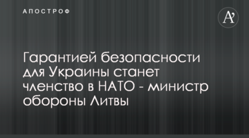 Гарантією безпеки для України стане членство в НАТО - міністр оборони Литви