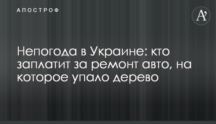Негода в Україні: хто заплатить за ремонт авто, на яке впало дерево