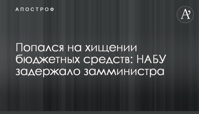 Попався на розкрадання бюджетних коштів: НАБУ затримало заступника міністра