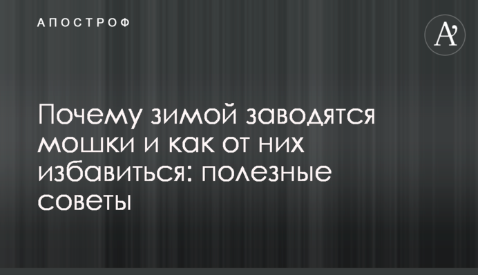 Чому взимку заводяться мошки і як їх позбутися: корисні поради