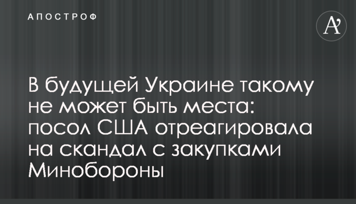 У майбутній Україні такому не може бути місця: посол США відреагувала на скандал із закупівлями Міноборони