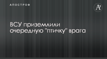 ЗСУ приземлили чергову "пташку" ворога