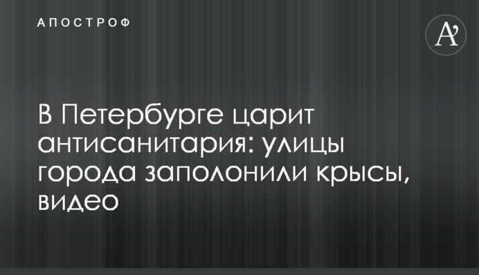 У Петербурзі панує антисанітарія: вулиці міста заполонили щури, відео