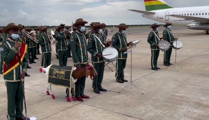 У Зімбабве на прощання з Лукашенком привели тварину: відео