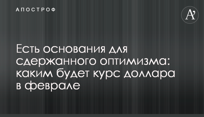 Є підстави для стриманого оптимізму: яким буде курс долара у лютому