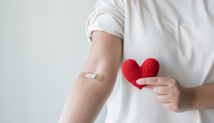 Как проверяют донорскую кровь и в каких случаях ее могут уничтожить