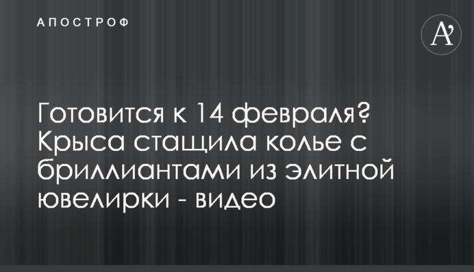 Готовится к 14 февраля? Крыса стащила колье с бриллиантами из элитной ювелирки - видео