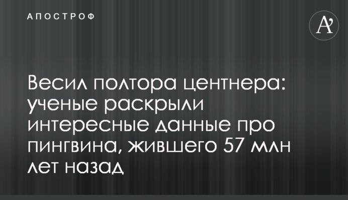 Весил полтора центнера: ученые раскрыли интересные данные про пингвина, жившего 57 млн лет назад