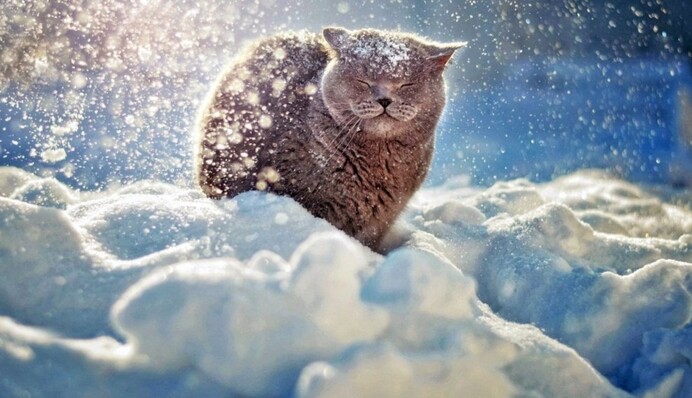 Украину в феврале накроет снежный "апокалипсис" - наметет до 47 см снега: даты и карта