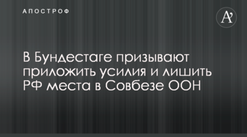 У Бундестазі закликають докласти зусиль і позбавити РФ місця в Раді Безпеки ООН