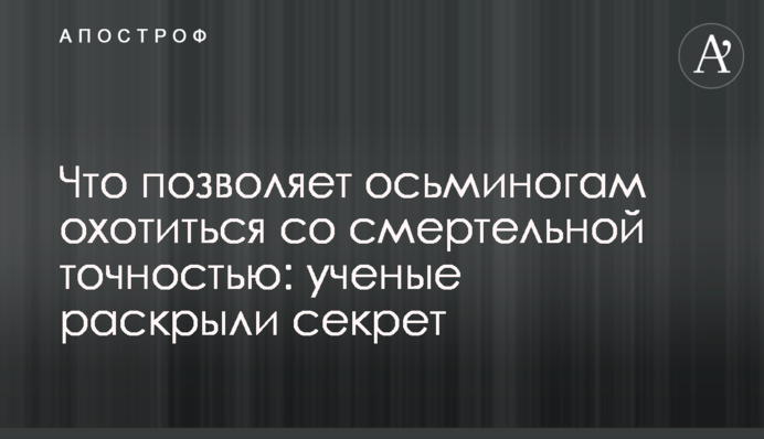 Що дозволяє восьминогам полювати зі смертельною точністю: вчені розкрили секрет
