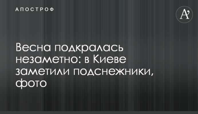 Весна підкралася непомітно: у Києві помітили проліски, фото