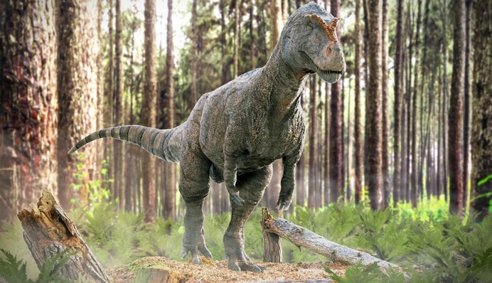 Археологи обнаружили отпечаток огромного динозавра: в чем уникальность следа